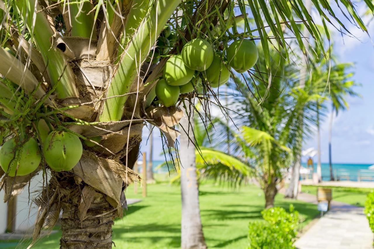 Bangalo بريا دوس كارنيروس المظهر الخارجي الصورة